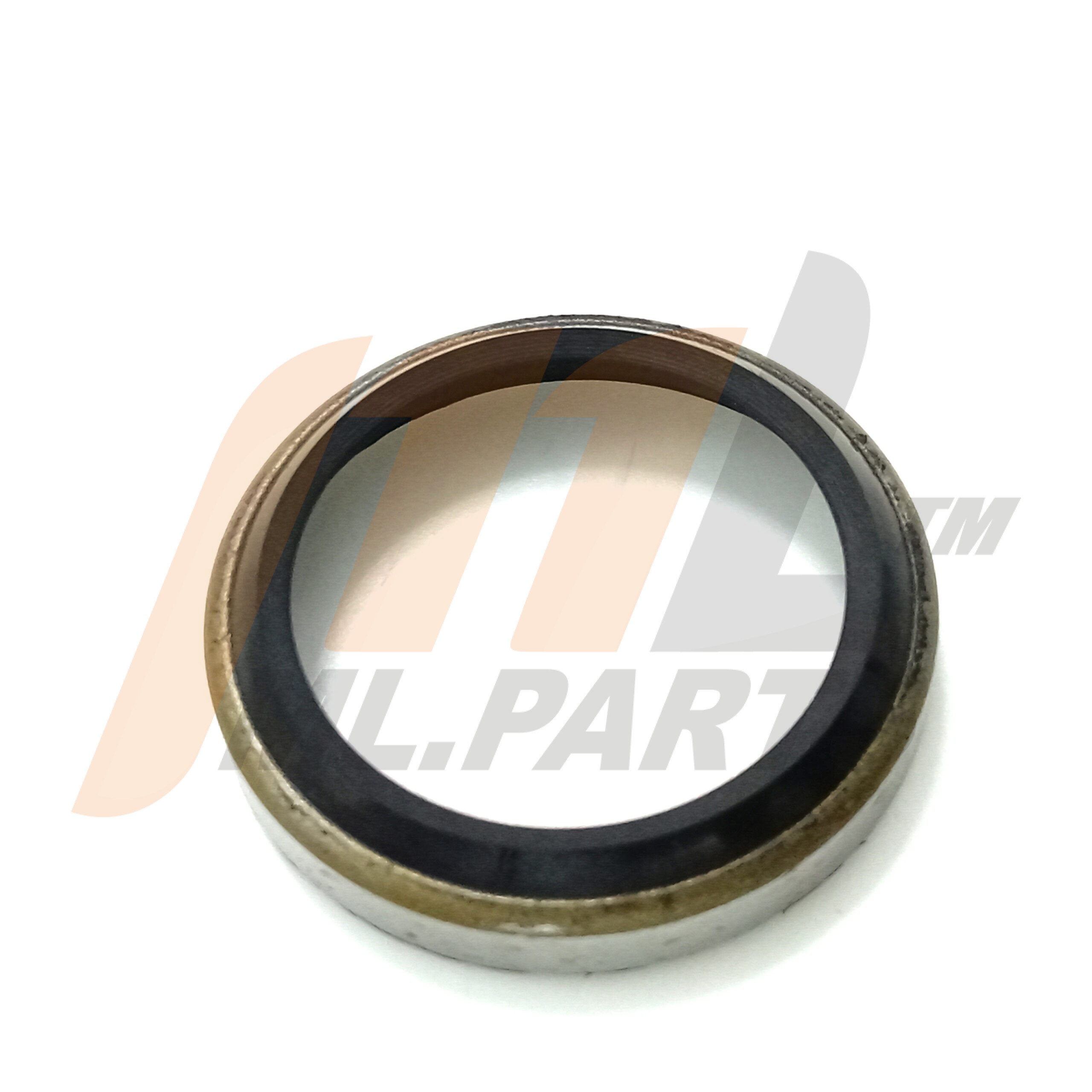 3618-520004-00 SEAL-KING PIN (2)